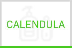 Calendula