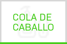 Cola De Caballo