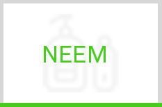 Neem
