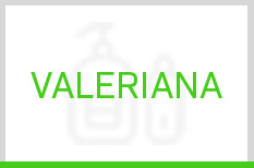 Valeriana